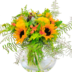 On first glance, this lavish bouquet invites thoughts of West Wickham in late summer-where gardens brim with sunlight and suburban streets are dappled with colour. Dominating the arrangement are bold sunflowers, their deep brown centers bordered by layers of golden and tangerine-yellow petals, casting a warm, uplifting energy over the entire composition. Entwined among the sunflowers, classically spiraled yellow garden roses bring a subtle elegance, their textured petals recalling the intricate blooms often spotted in local parks and neighbourhood front gardens. Sculpted sprigs of glossy red Hypericum berries thread through the display, their vibrant hues sharply contrasting the sea of green ferns and solidago fill. Wisps of slim foliage and a hint of silvery-blue eucalyptus peek through, adding lightness and visual rhythm that mirrors the gentle breezes along West Wickham's tree-lined Crescent. Every stem rests within a globe-shaped glass vase, its transparency showcasing both the craft of the floral arrangement and the purity of fresh water-a hallmark of the local florists' careful tradition. Warm sunlight spills across the arrangement, imbuing each petal and leaf with a sense of promise and festivity. Perfect for birthdays, anniversaries, or as a centrepiece at intimate family gatherings, this bouquet brings the sunny optimism and gracious style that reflect West Wickham itself.
